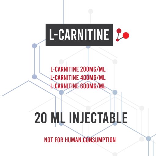 L-Carnitine L-Carnitine
